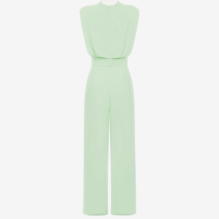 Elegant Defined Waist Jumpsuit