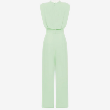 Elegant Defined Waist Jumpsuit